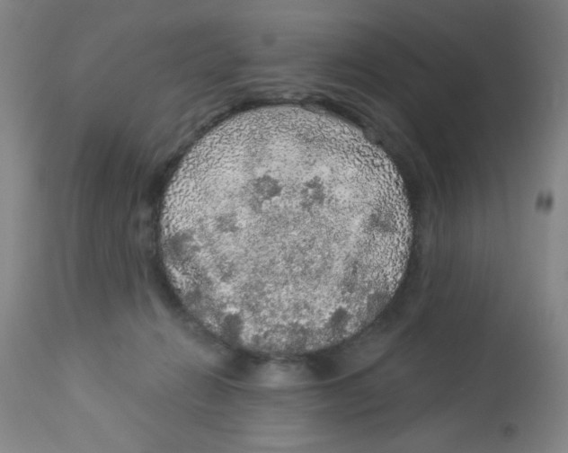 X0000113960270200910232035
