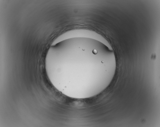 X0000113960272200910232035