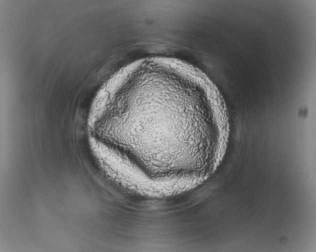 X0000113960273200910232035