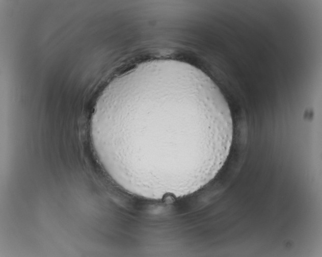 X0000113960274200910232035