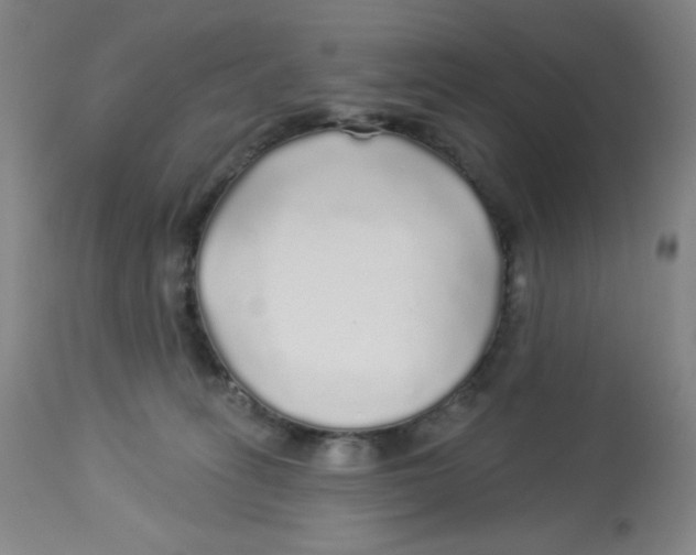 X0000113960275200910232035