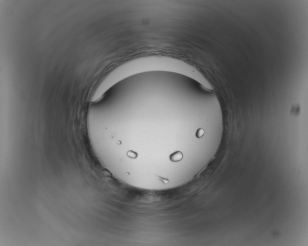 X0000113960276200910232036
