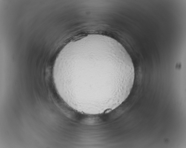 X0000113960278200910232036