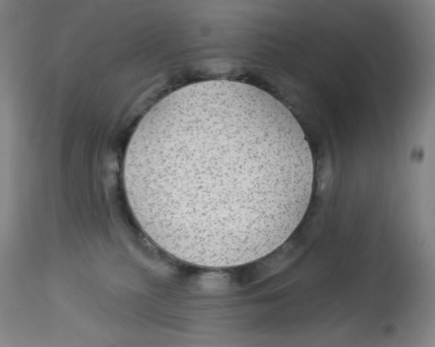 X0000113960279200910232036