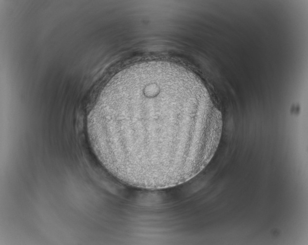 X0000113960282200910232036