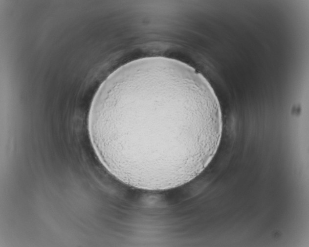 X0000113960283200910232036