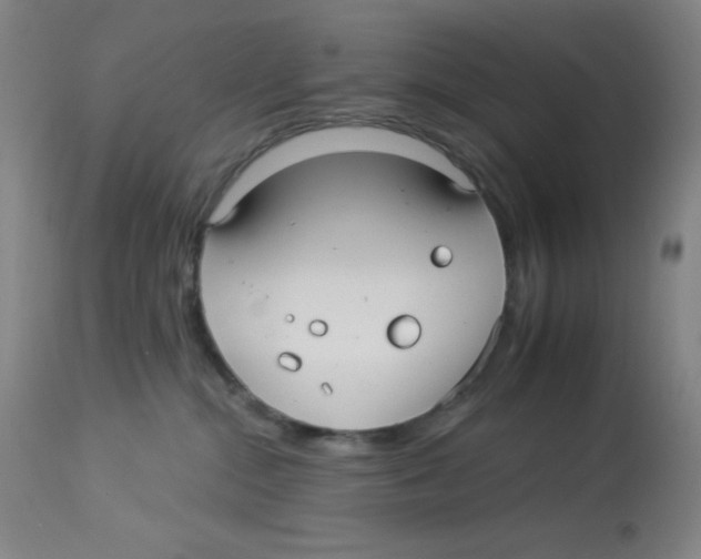 X0000113960284200910232036