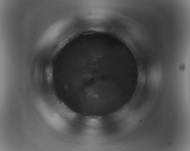 X0000113960285200910232036