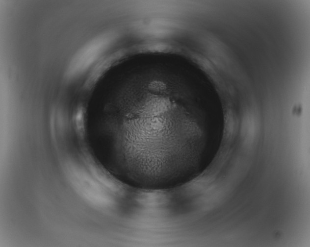 X0000113960286200910232036