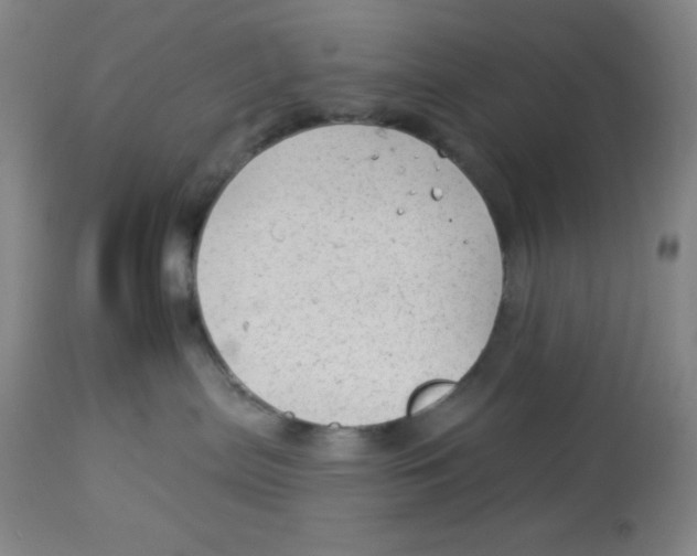 X0000113960287200910232036