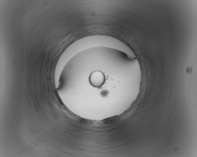 X0000113960288200910232036