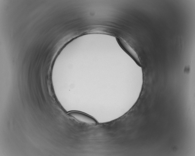 X0000113960289200910232035