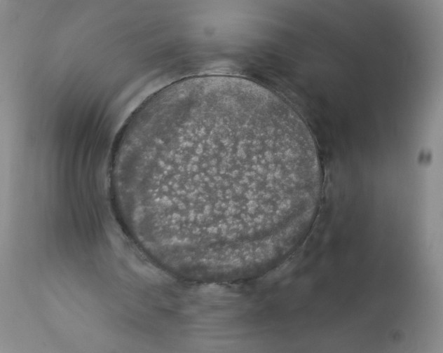 X0000113960290200910232035