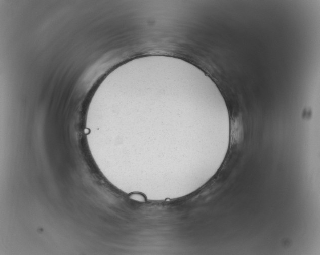 X0000113960291200910232035