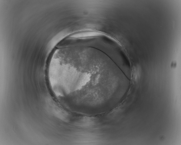 X0000113960292200910232035