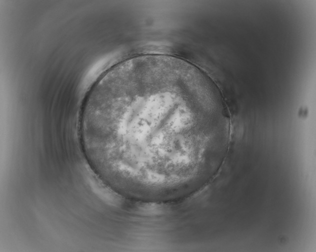 X0000113960293200910232035
