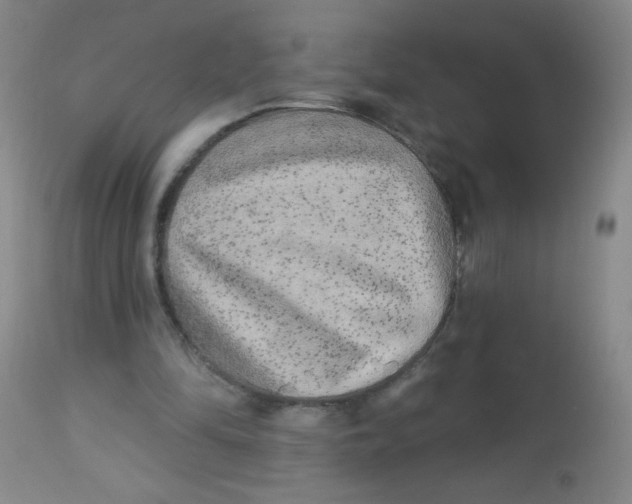 X0000113960294200910232035
