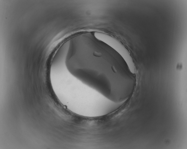 X0000113960295200910232035