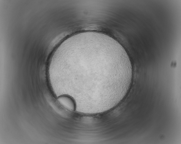 X0000113960298200910232035