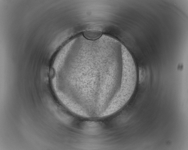 X0000113960300200910232035