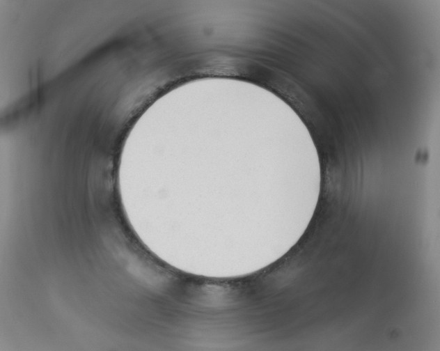 X0000113960302200910232035