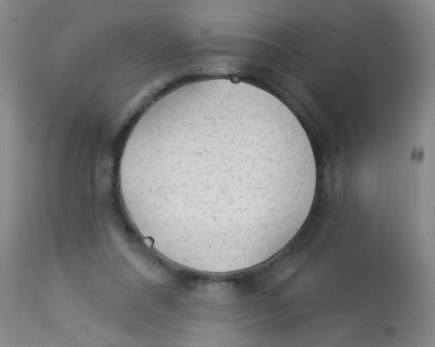 X0000113960304200910232035