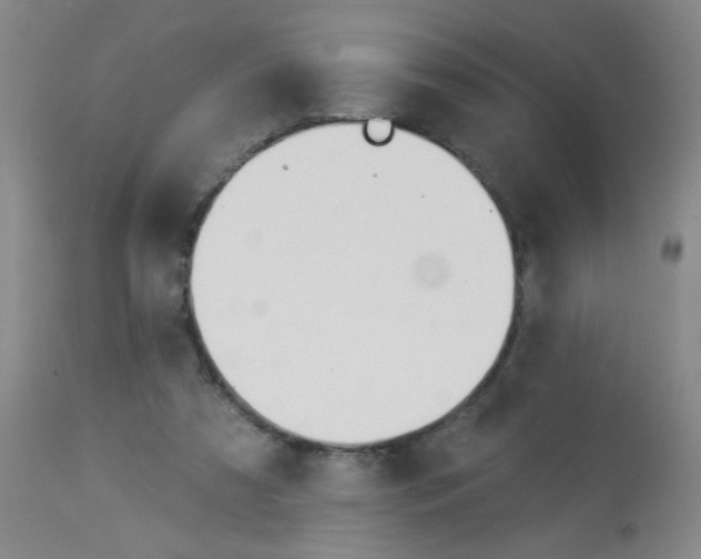 X0000113960305200910232035