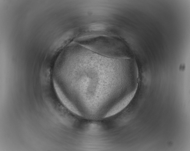 X0000113960308200910232035