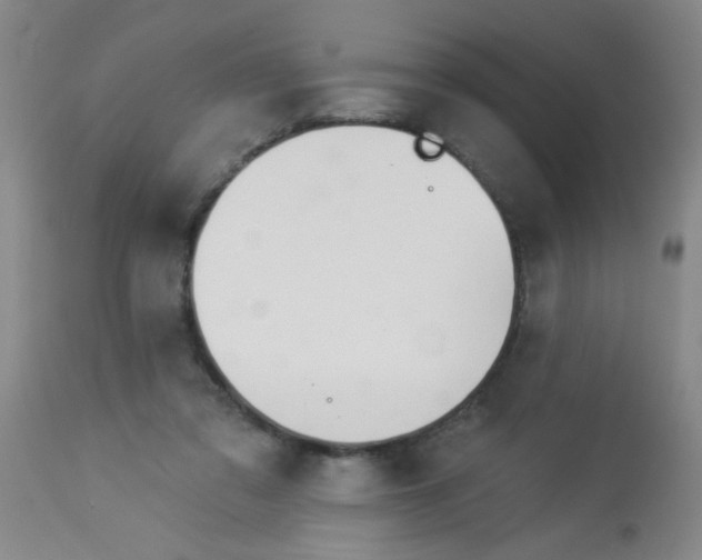 X0000113960309200910232035