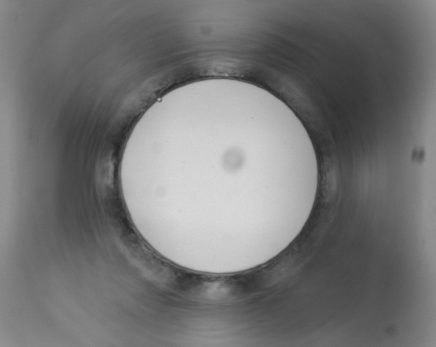 X0000113960310200910232035