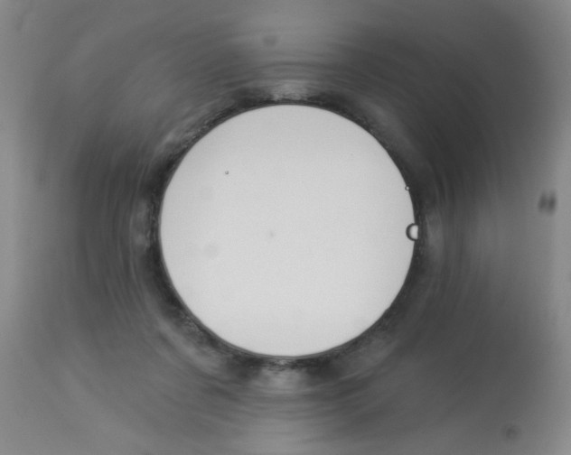 X0000113960311200910232035
