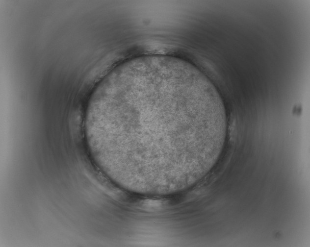 X0000113960314200910232034