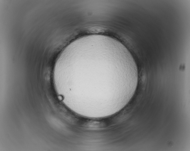 X0000113960315200910232034