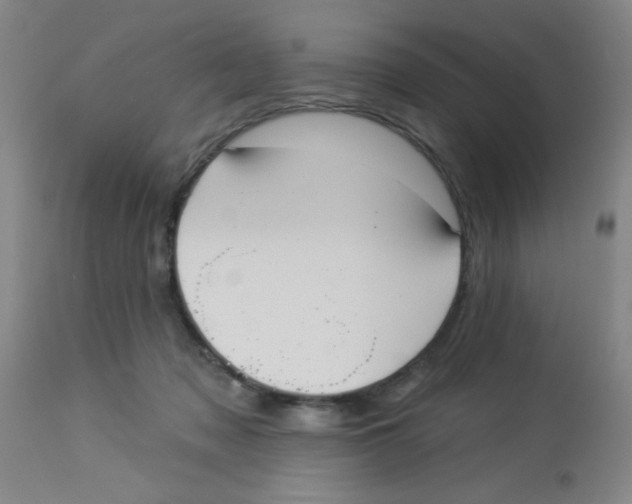 X0000113960317200910232034