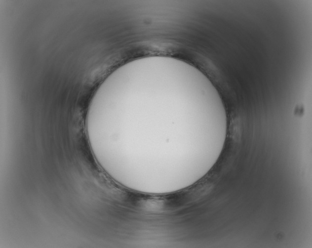 X0000113960318200910232034
