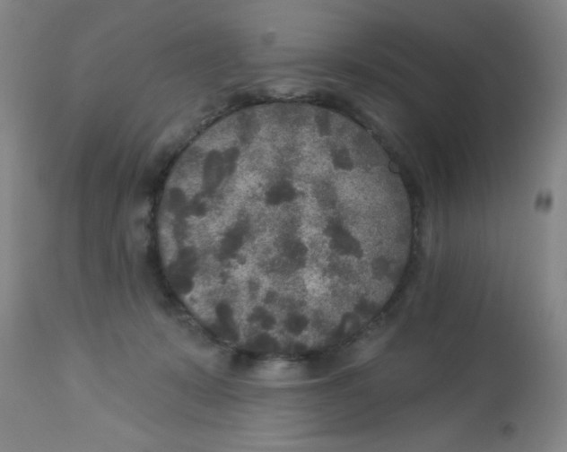 X0000113960319200910232034