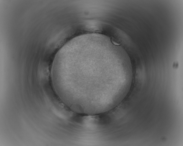 X0000113960320200910232034