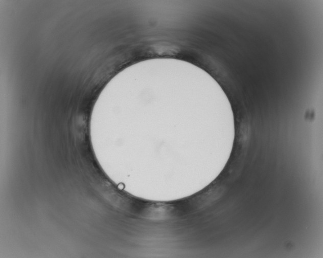 X0000113960321200910232034