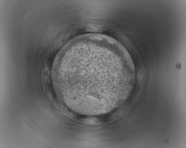 X0000113960322200910232034