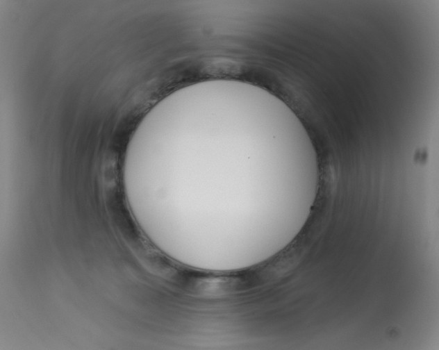 X0000113960323200910232034