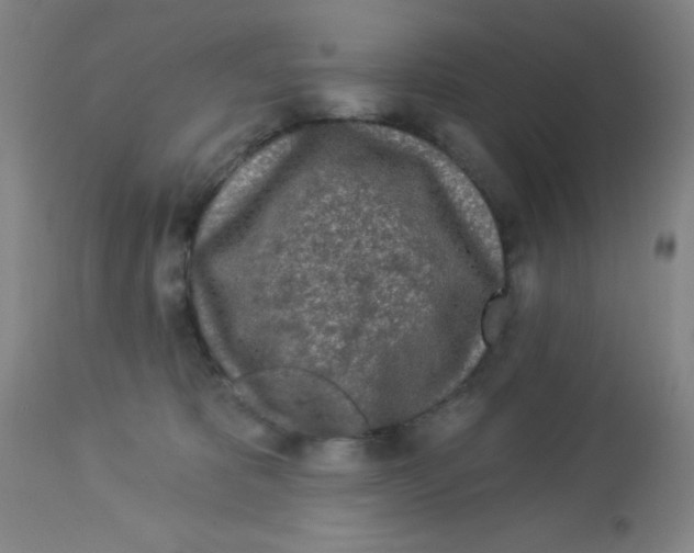 X0000113960325200910232034
