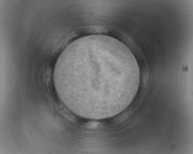 X0000113960326200910232034