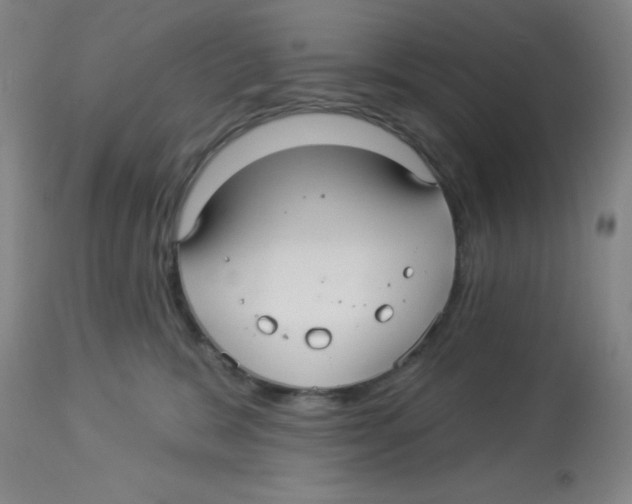 X0000113960327200910232034