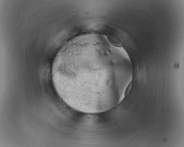 X0000113960328200910232034