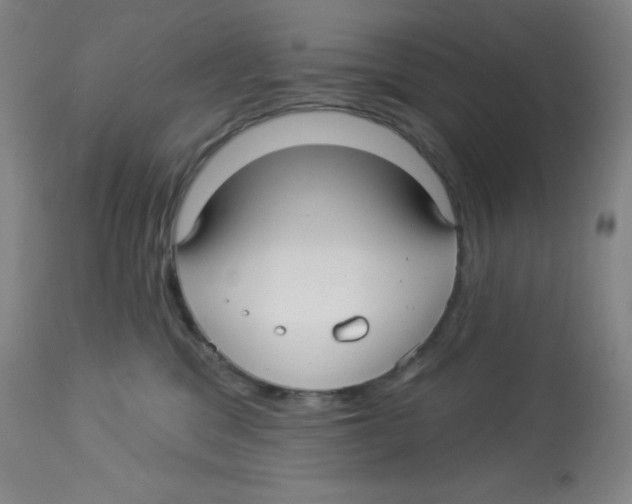 X0000113960329200910232034