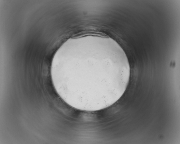 X0000113960331200910232034