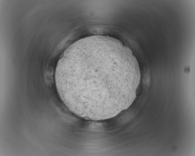 X0000113960332200910232034