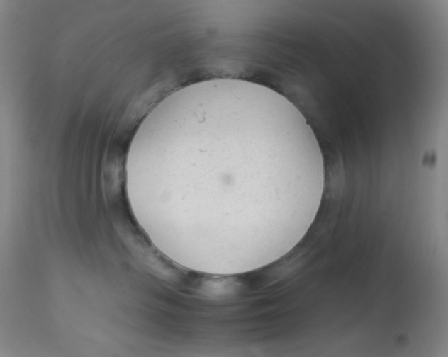 X0000113960334200910232034