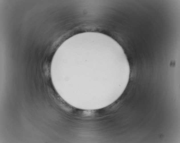 X0000113960335200910232034