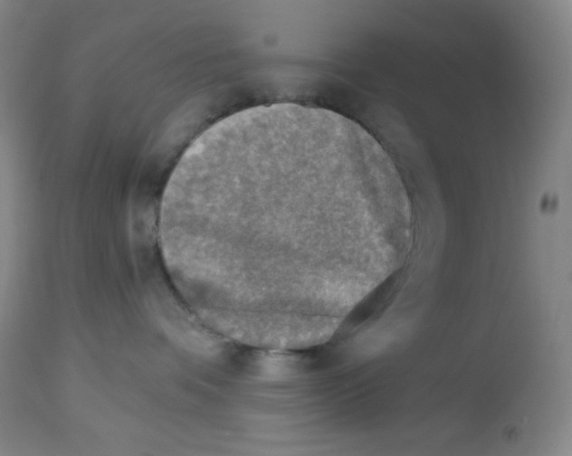 X0000113960336200910232034